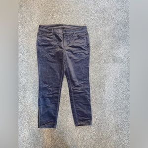 White House black market velvet grey pants Size 12s